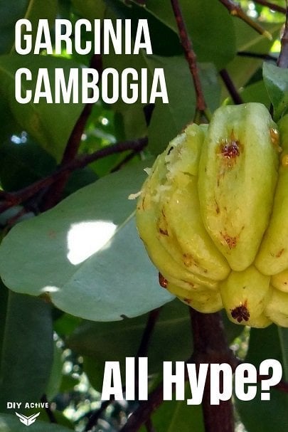 Garcinia cambogia: Incredible Weightloss or All Hype?