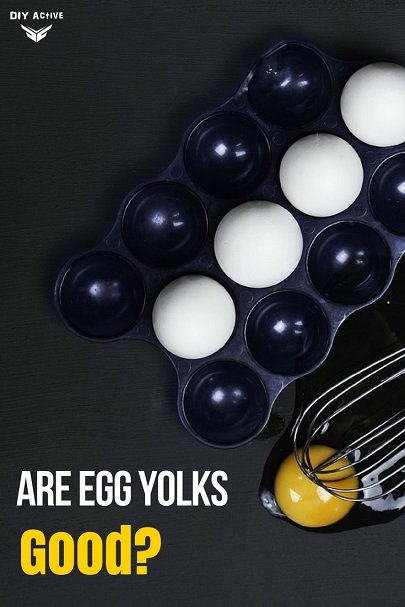 The Yolk Truth Are Egg Yolks Good