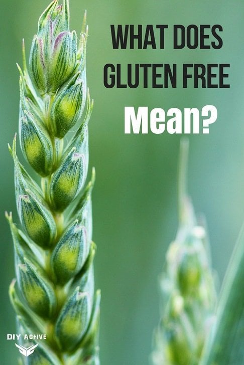 What Does Gluten Free Mean DIY Active