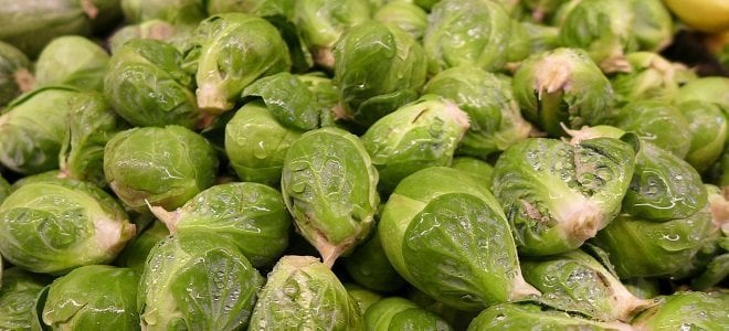 roasted brussel sprouts recipe
