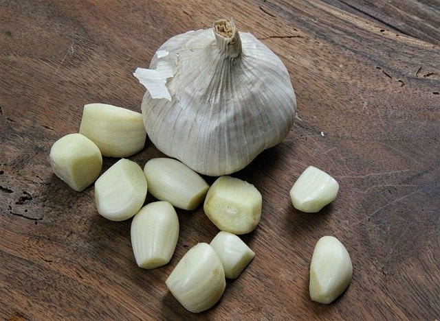 Fat burning foods garlic
