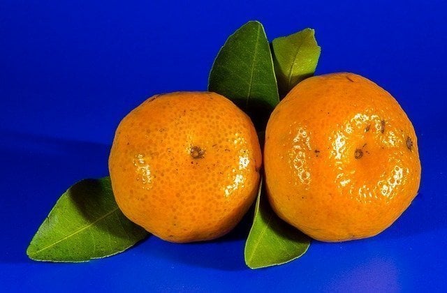 Fat burning foods oranges