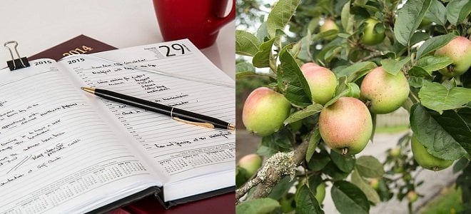 how to keep a food journal