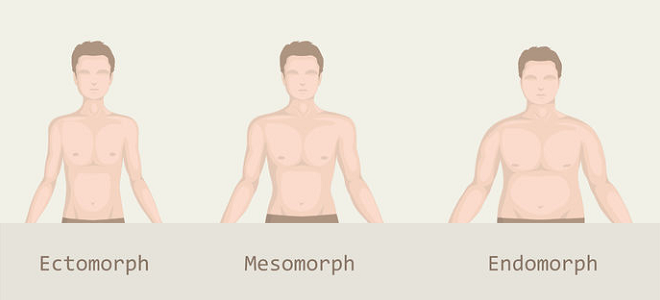 Master Your Mesomorph or Endomorph Body Type: Tailored Diet & Exercise ...