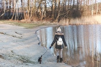 exercising with your dog