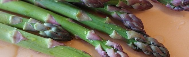 Fat Burning Foods Asparagus