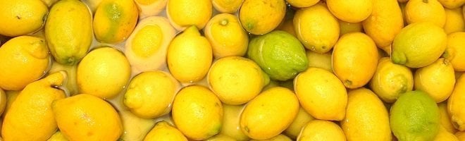 Fat Burning Foods Lemons