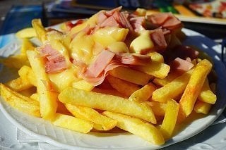 Junk Food Fries