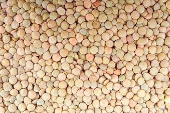 Super Foods Lentils