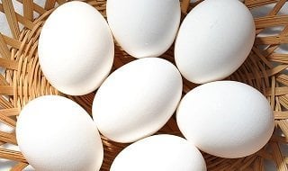 protein supplements eggs
