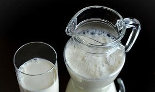 protein supplements milk