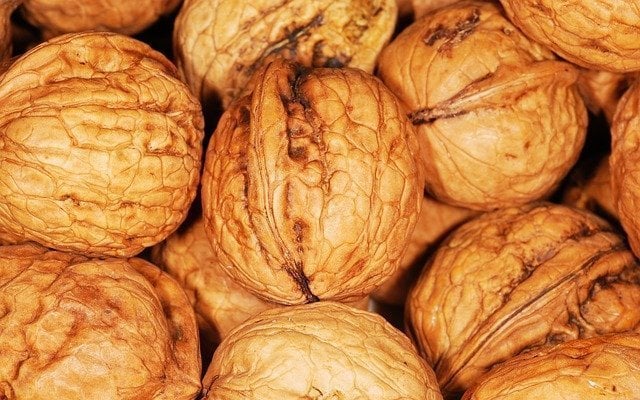 Paleo Diet Benefits Nuts