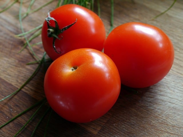 Paleo Diet Benefits Tomato