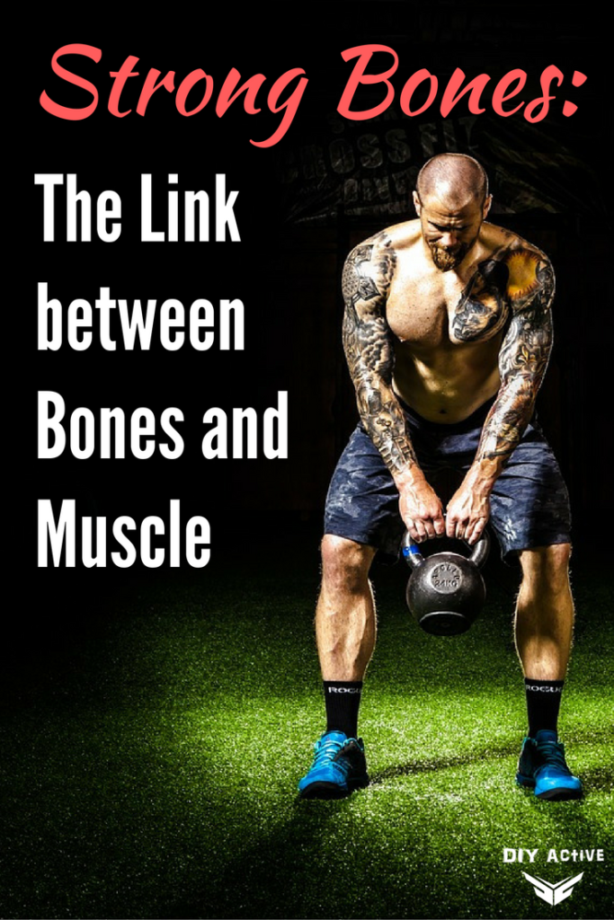 Strong Bones The Link between Bones and Muscle