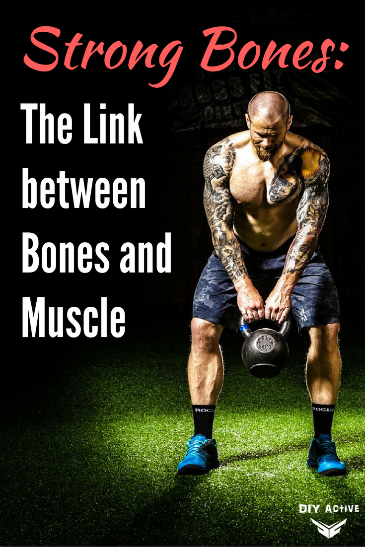 The Link Between Bone And Muscle Strength