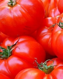 paleo diet tips tomato