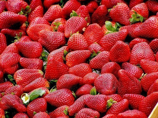 8 Health Benefits of Strawberries Bunch