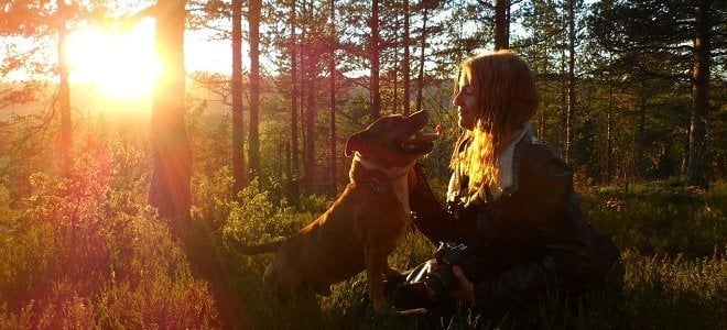 pets and mental health