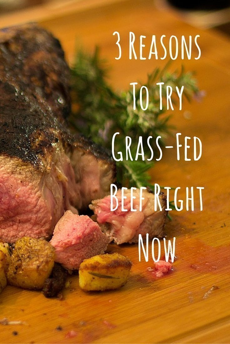 3 Reasons To Try Grass-Fed Beef Right Now