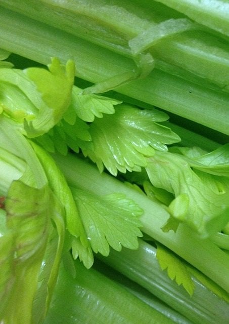 Top 8 Anti-Aging Foods celery