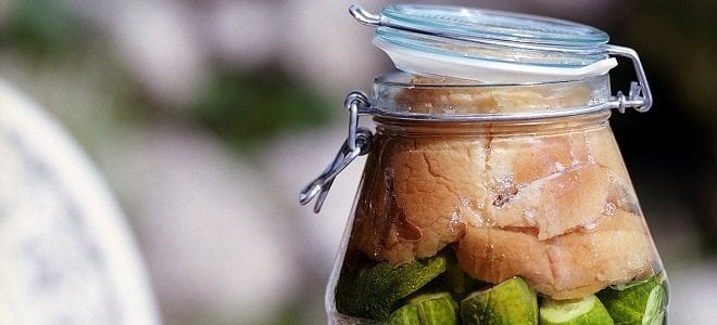 fermented foods