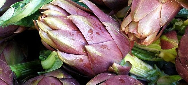 7 Amazing Natural Ways to Detox Your Body Artichoke