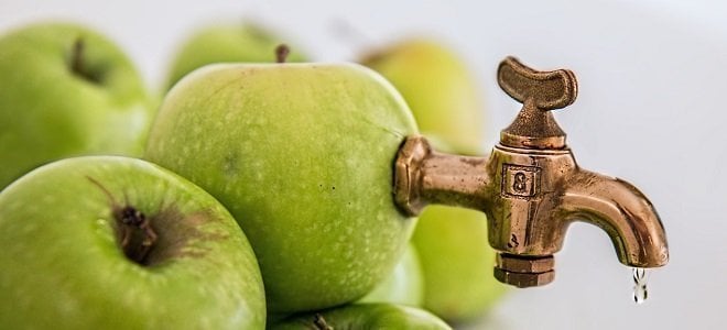 benefits of masticating juicer