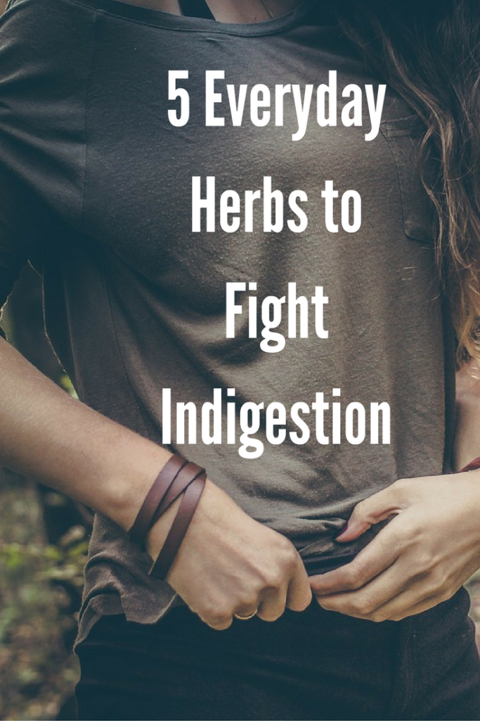 5 Everyday Herbs to Fight Indigestion