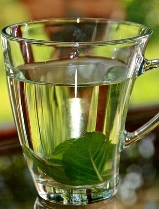 how-peppermint-tea-helps-to-boost-your-memory-glass