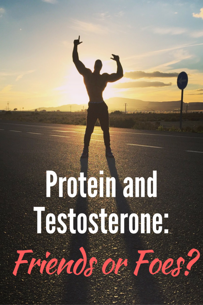 Protein and Testosterone Friends or Foes