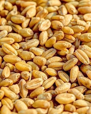 3 Less Known Yet Power-Packed Seeds