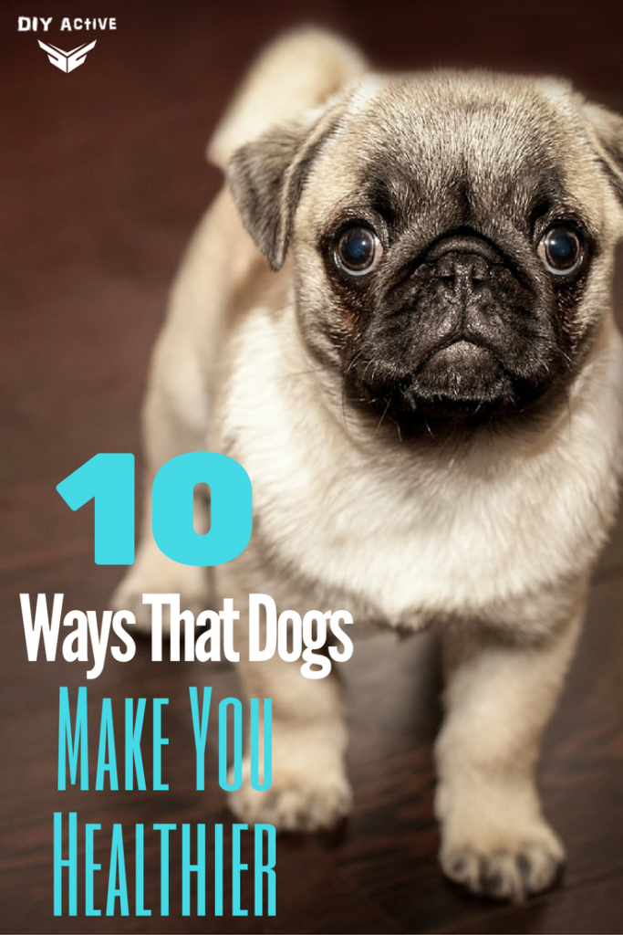 10 Ways That Dogs Make You Healthier