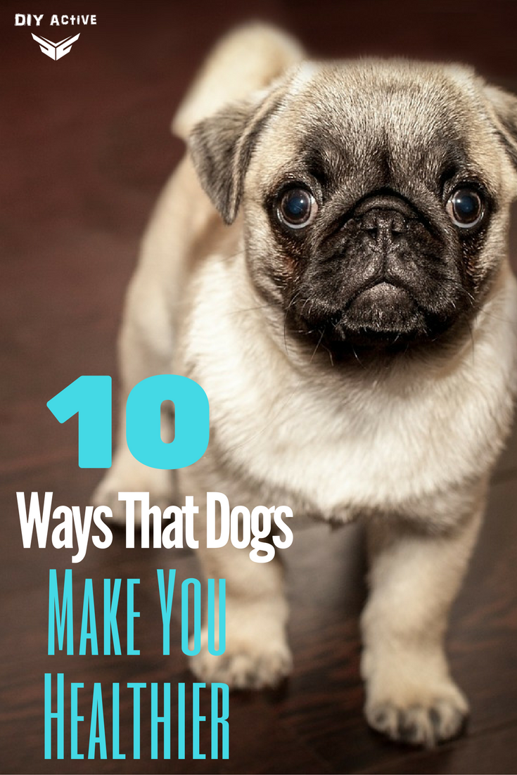 10 Ways That Dogs Make You Happier And Healthier