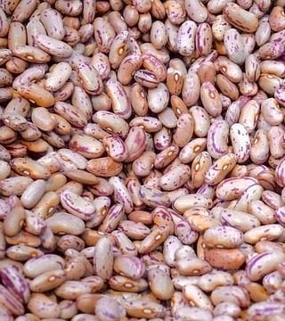 Post Workout Best Foods for Sustained Energy beans