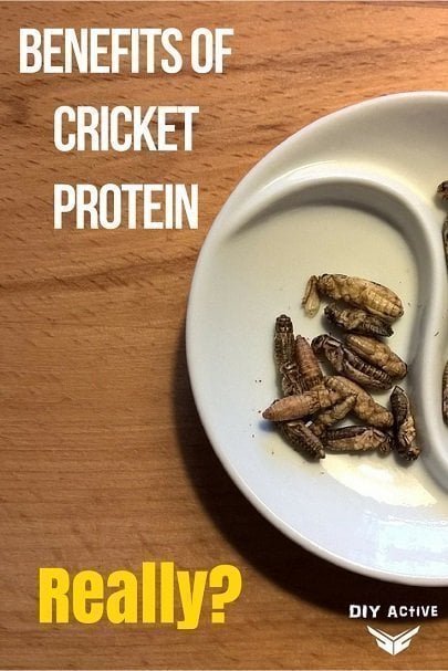 Benefits of Cricket Protein
