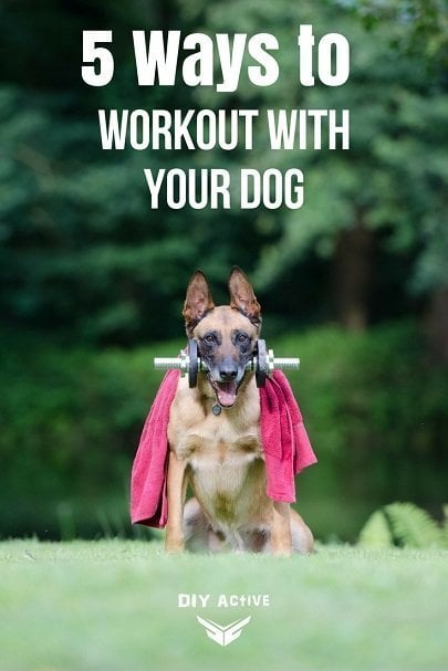 5 Methods for Working Out with Your Dog