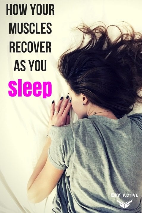 How Your Muscles Recover as You Sleep