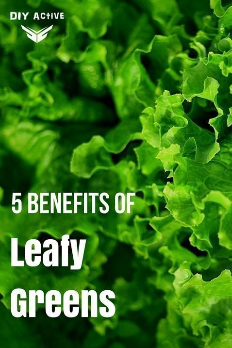 5 Ways that Leafy Greens Can Benefit Your Body Smoothie