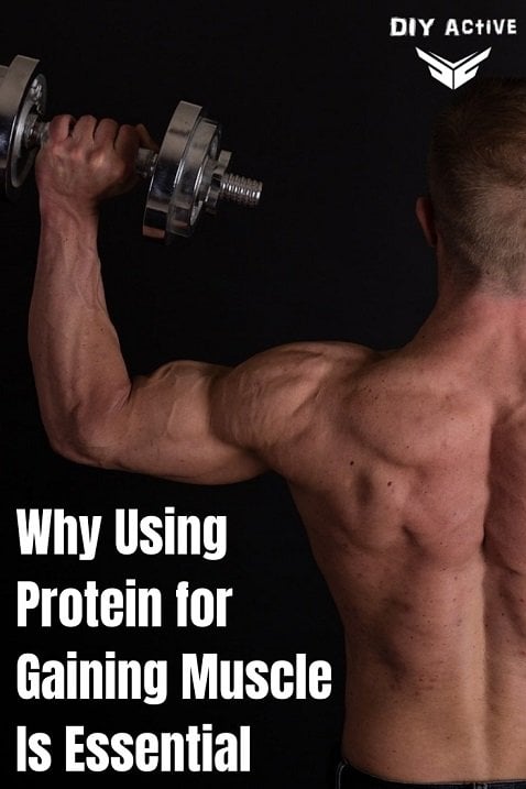 Why Using Protein for Gaining Muscle Is Essential