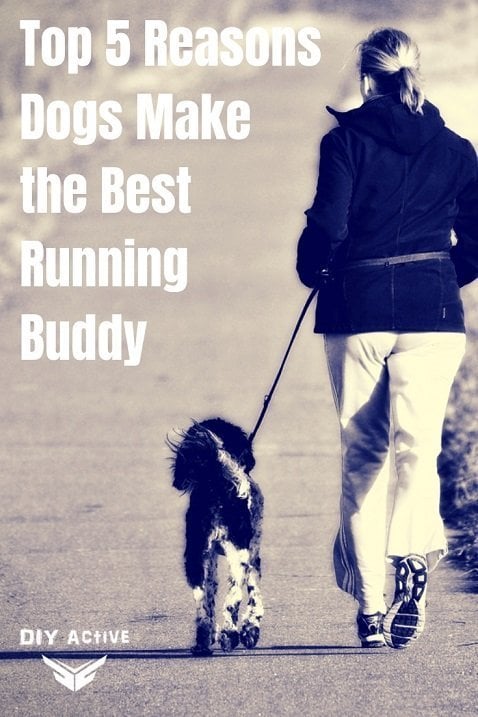 Top 5 Reasons Dogs Make the Best Running Buddy