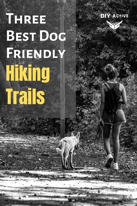 Three Best Dog Friendly Hiking Trails