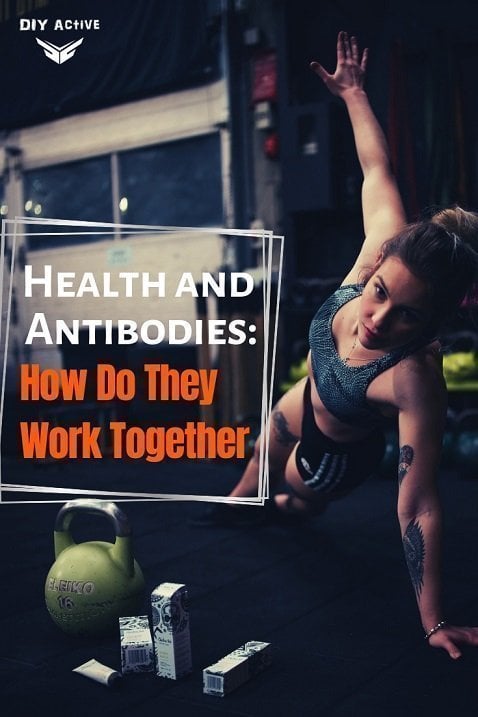 Health and Antibodies: How Do They Work Together
