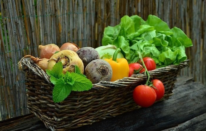 benefits of a raw food diet