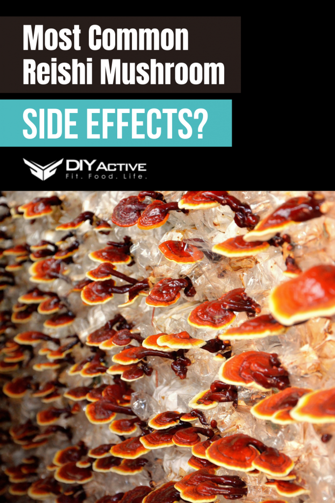 reishi side effect