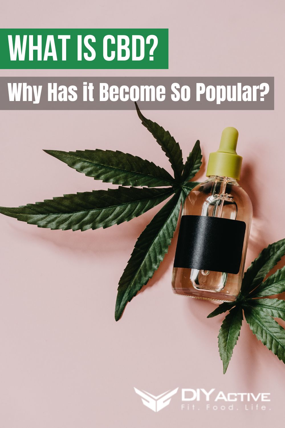 What is CBD and Why Has it Become So Popular 2