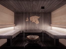 Best home sauna brands