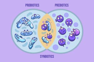 Probiotics vs. Prebiotics: What's the Difference?