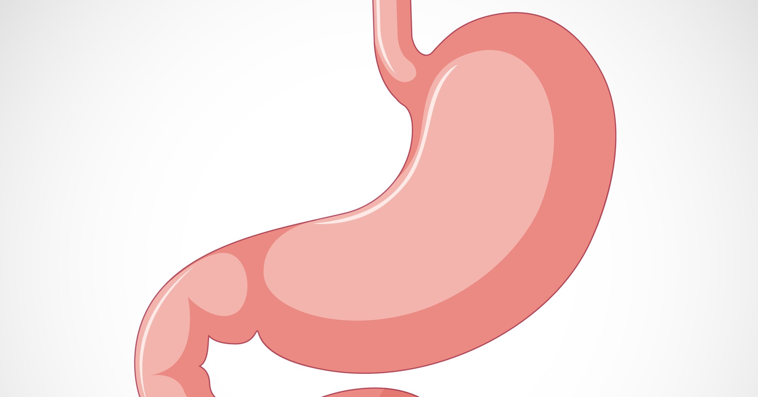 The Role of Gut Health in Weight Management