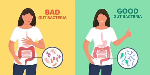 The Impact of Diet on Gut Microbiota 
