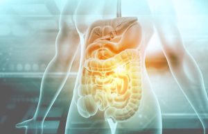 The Importance of a Healthy Gut Microbiome